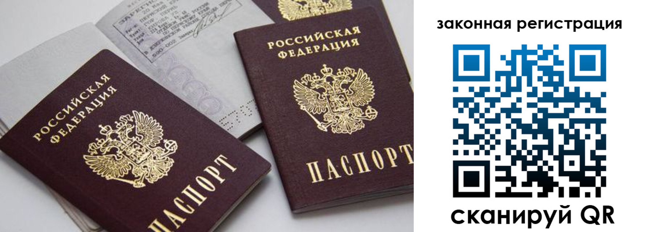 регистрация для школы в Сланцах